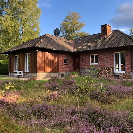 Landhaus Mitten In Der Lueneburger Heide Undeloh Luaran gambar