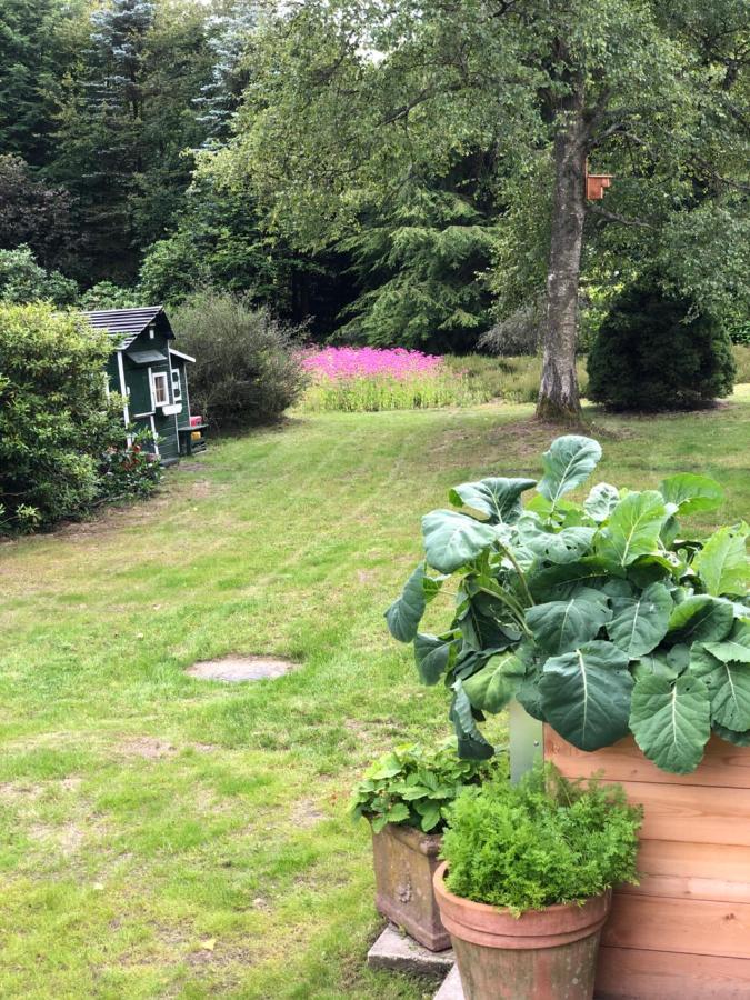 Landhaus Mitten In Der Lueneburger Heide Undeloh Luaran gambar