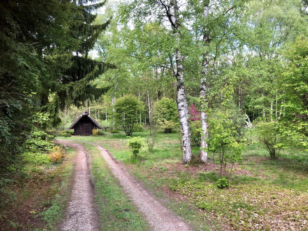 Landhaus Mitten In Der Lueneburger Heide Undeloh Luaran gambar