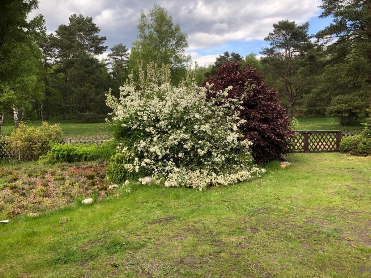 Landhaus Mitten In Der Lueneburger Heide Undeloh Luaran gambar