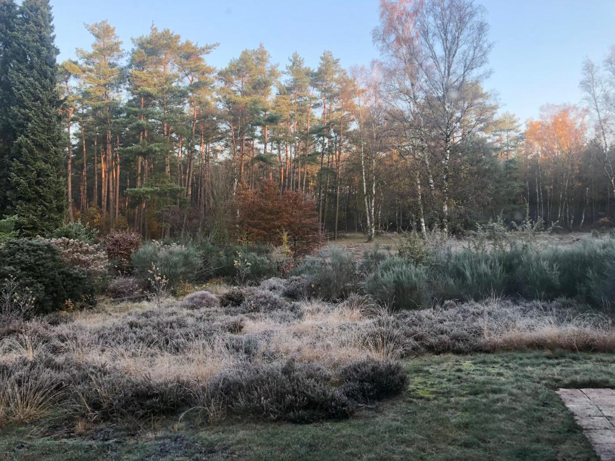 Landhaus Mitten In Der Lueneburger Heide Undeloh Luaran gambar