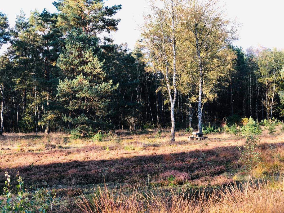 Landhaus Mitten In Der Lueneburger Heide Undeloh Luaran gambar